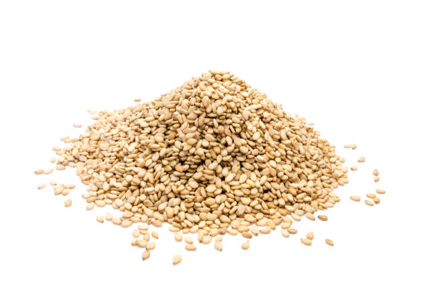 Sesame Seed
